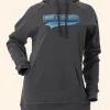 DSG Logo Hoodie Grey Front Image