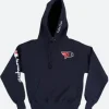 Faze X Champion Hoodie Front Image