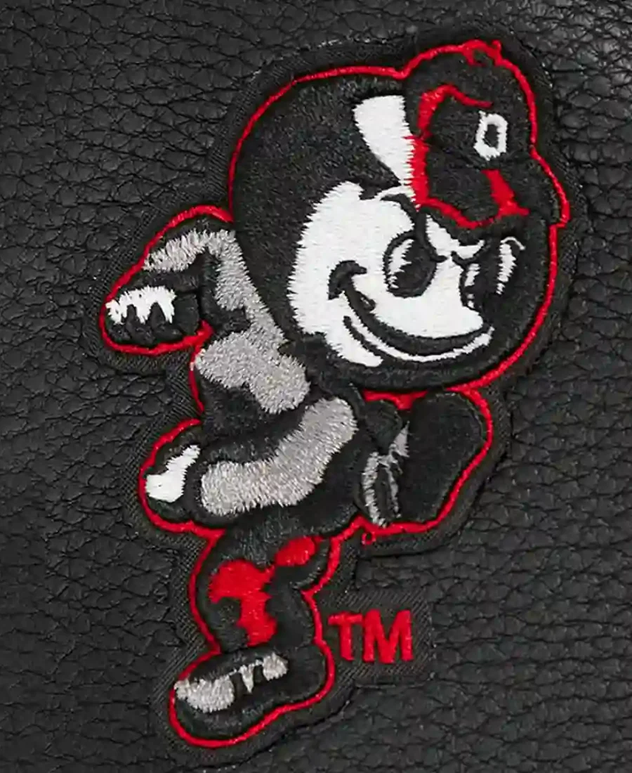 Ohio State University Letterman Varsity Jacket Patch Image